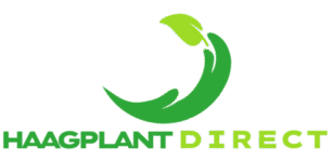 haagplantdirect.nl