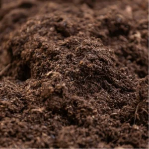 Legro aanplantgrond close up