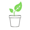 pot