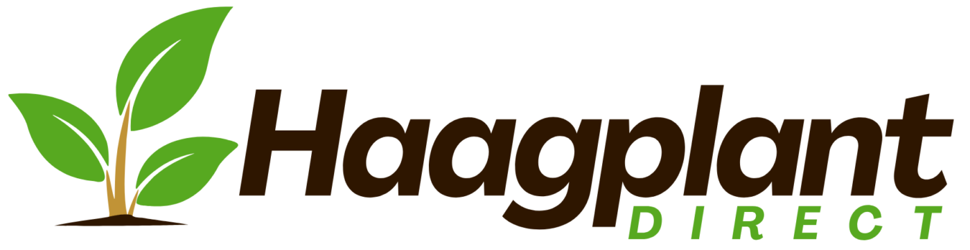 Haagplantdirect